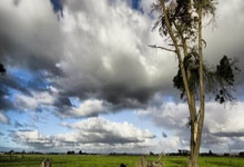 [CBA]时隔一年 北京男篮主场重返五棵松.