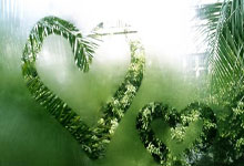 pg游戏官网：刚登场就进球！基耶萨单刀被扑，丹斯补射破门，利物浦3-0领先.