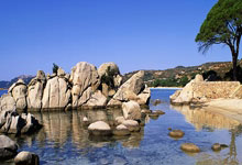 pg游戏官网：[艺术里的奥林匹克]2026米兰冬奥会吉祥物由孩子设计.